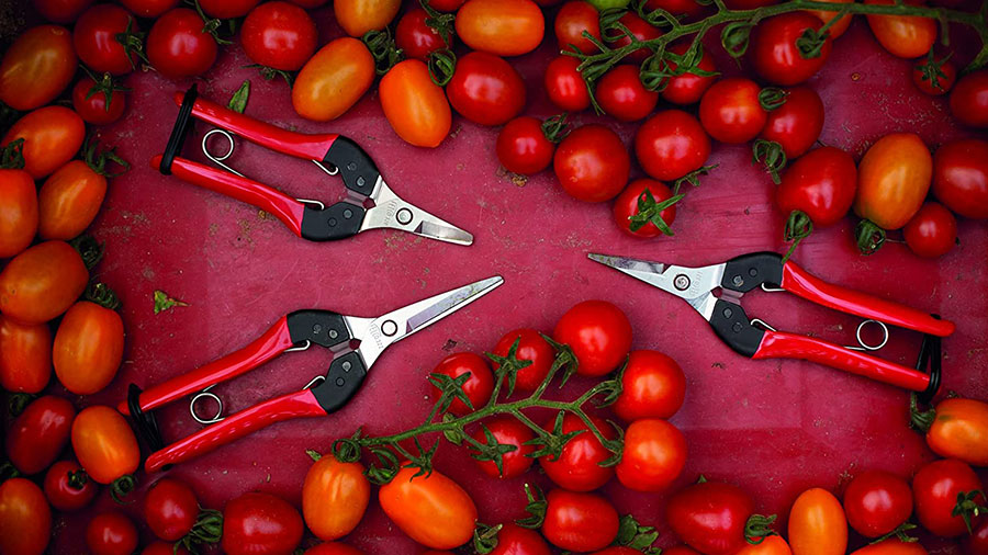 épinette Felco 320, 321 et 322 épinette Felco 320, 321 et 322